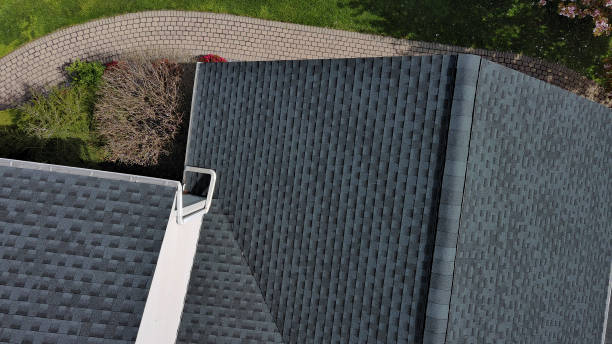 Best Commercial Roofing Services  in International Falls, MN